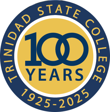 100th logo