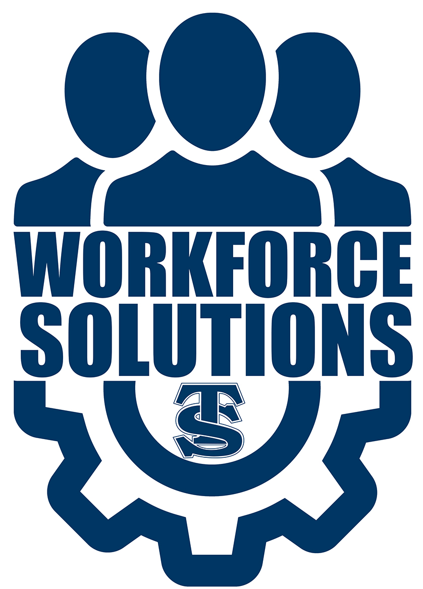 Workforce Solutions logo image