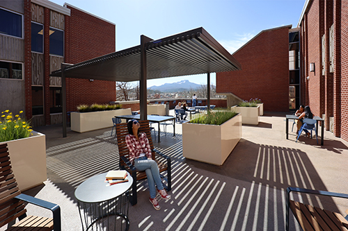 Library image