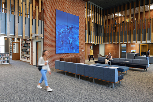 Library image