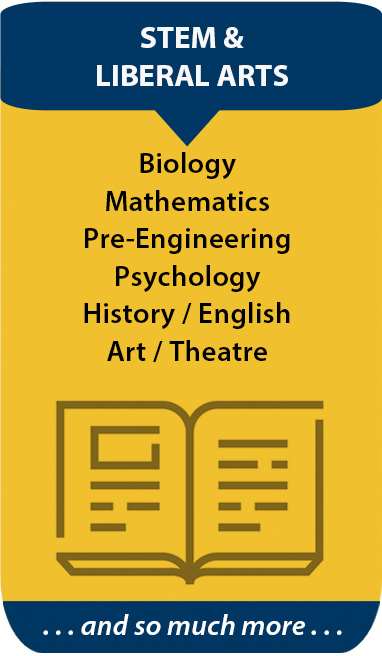 Arts and Humanities pathways image