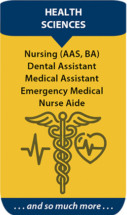 Health Sciences pathways image