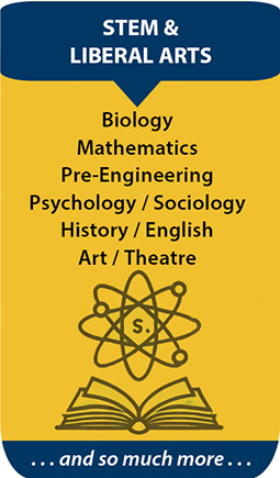 Arts and Humanities pathways image