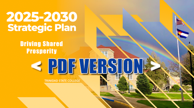 2025 Strategic Plan PDF